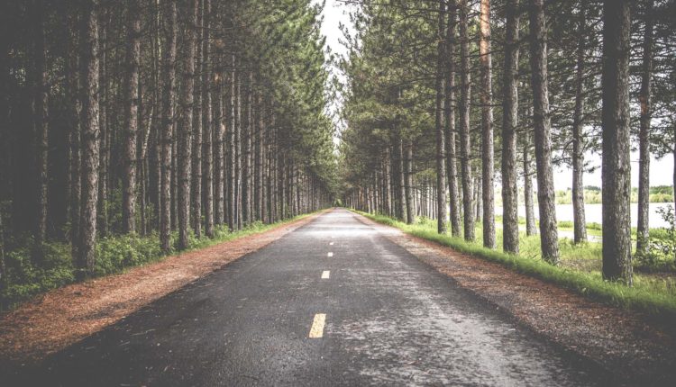 Os votos de ano novo e a finalidade da vida