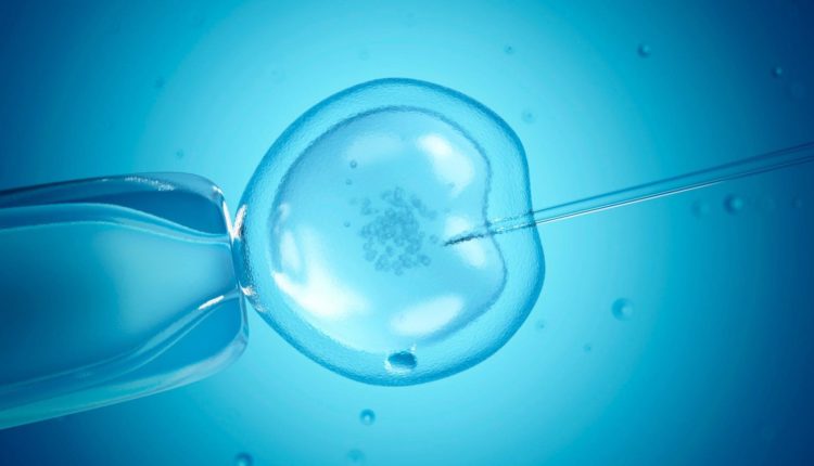 A fecundação humana em laboratório é permitida