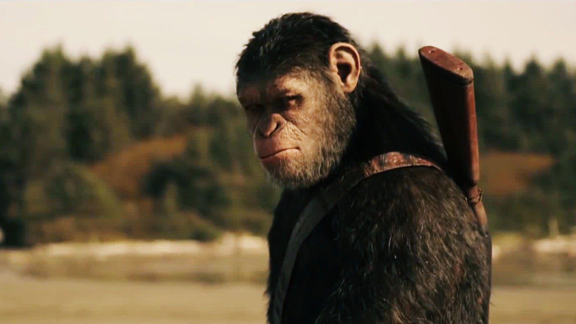 O Homem Um Macaco Evolu do Cooperadores Da Verdade O Homem Um Macaco Evolu do Cooperadores Da Verdade