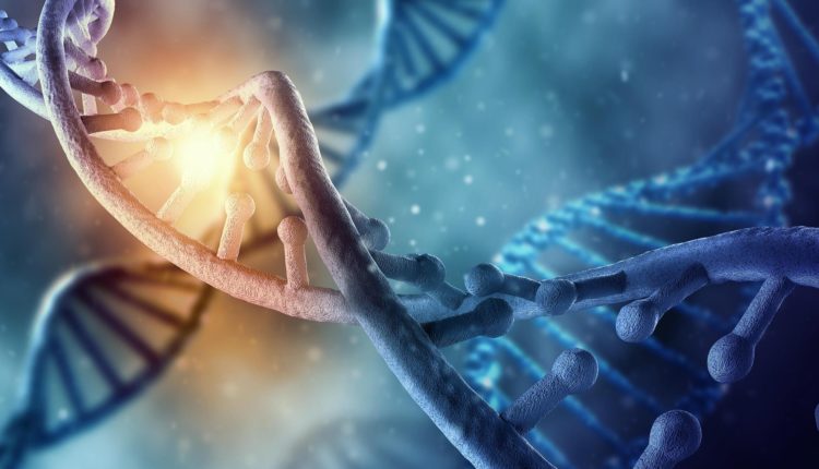 A Natureza não depõe contra Deus?