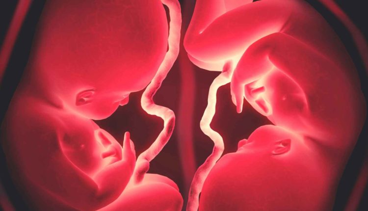 A Infusão da Alma em Gêmeos