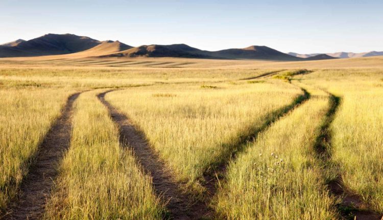 Como distinguir uma vocação